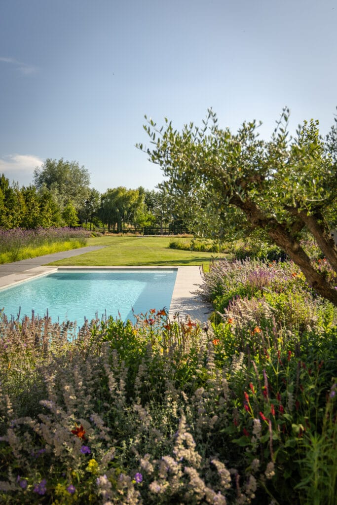 Tuin_met_zwembad