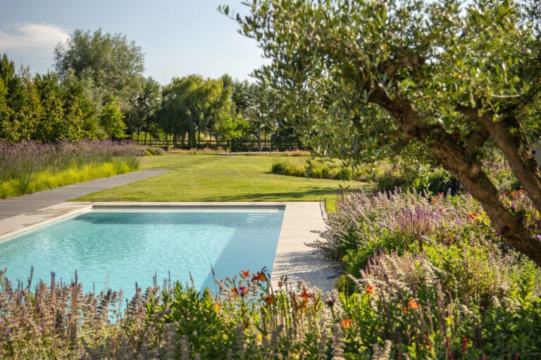 Tuin_met_zwembad